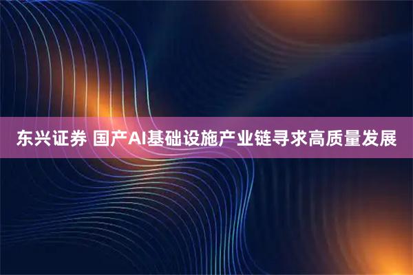 东兴证券 国产AI基础设施产业链寻求高质量发展